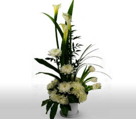 Arrangement Serenity