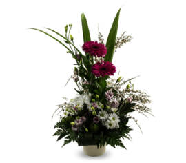 Arrangement le Classique