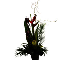 Arrangement Apricotta