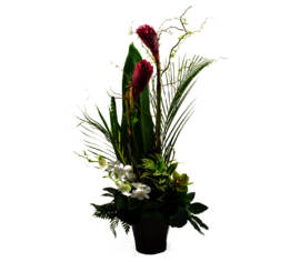 Arrangement Tropical Ginger
