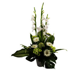 Arrangement Lac Blanc