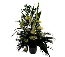 Arrangement Perle blanche