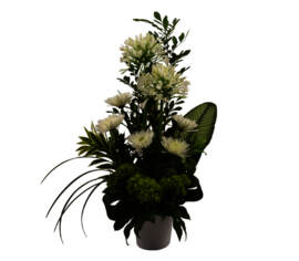 Arrangement Montagne blanche