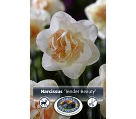 Narcissus Tender Beauty (Double) (Package of 5 bulbs)