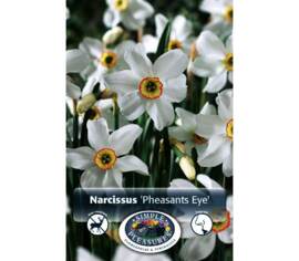 Narcisse Pheasant's Eye (Small Cupped) (Parfumé) (Zone : 3) (Paquet de 5 bulbes)