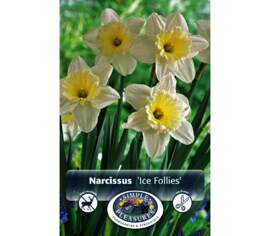 Narcisse Ice Follies (Large Cupped Daffodil) (5 par sac) (taille : 14/16 cm)