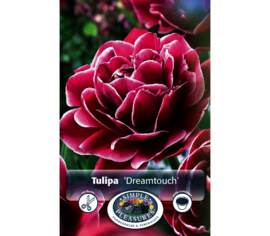 Tulipe Dreamtouch (Pivoine Double tardive) (Zone : 3) (Paquet de 6) (taille : 11/12 cm)