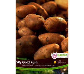 Pomme de terre Gold Rush (Russet à chair jaune) (Paquet de 2 kg)