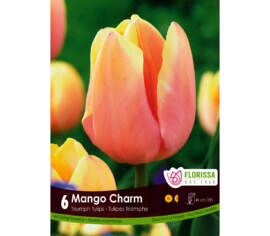 Tulipe Mango Charm (Triumph) (Paquet de 6) (taille : 12 cm et +)