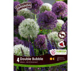 Allium Double Bubble - Mauve & Blanc (Colourful Companions) (Paquet de 4 bulbes)