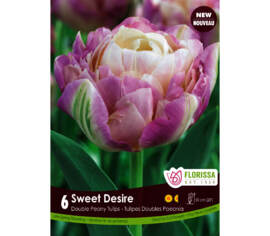 Tulipe Sweet Desire (Pivoine double tardive) (Paquet de 6 bulbes)