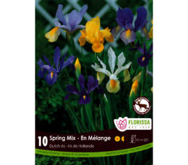 Iris Spring Mix (Dutch) (Zone : 5) (Paquet de 10 bulbes)