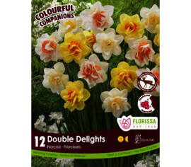 Narcisse Double Delights - N Delnashaugh, N Golden Ducat, N White Lion (Colourful Companions) (Zone : 3) (Paquet de 12 bulbes)