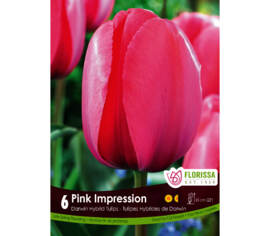 Tulip Pink Impression (Darwin Hybrid) (Package of 6 bulbs)