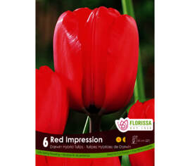 Tulipe Red Impression (Darwin hybride) (Paquet de 6 bulbes)