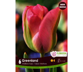Tulipe Greenland (Viridiflora) (Paquet de 6 bulbes)