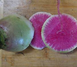 Radis Melon d'eau Biologique (Semences)