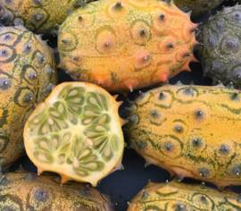 Melon Kiwano Biologique (Semences)