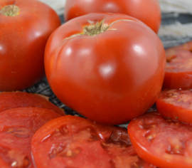 Tomate standard Moskvich Biologique (Semences)