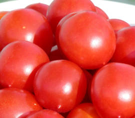 Tomate Principe Borghese Biologique (Tomate Italienne)