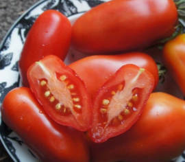 Tomate italienne Dix doigts de Naples Biologique (Semences)