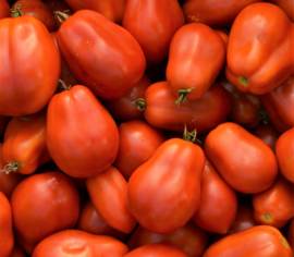 Tomate italienne Roma Biologique (Semences)