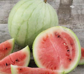 Melon d'eau King and Queen winter Biologique (Semences)