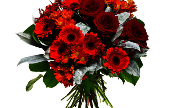 Bouquet Paprika