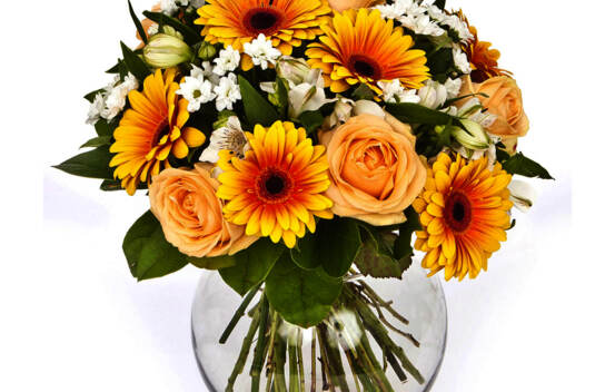 Bouquet Harmony