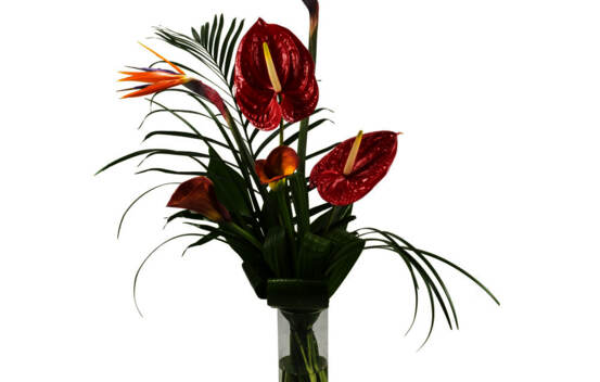 Bouquet Passion tropicale