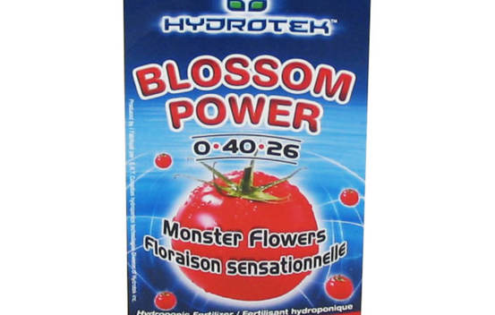 Blossom Power 20 g (0-40-26)