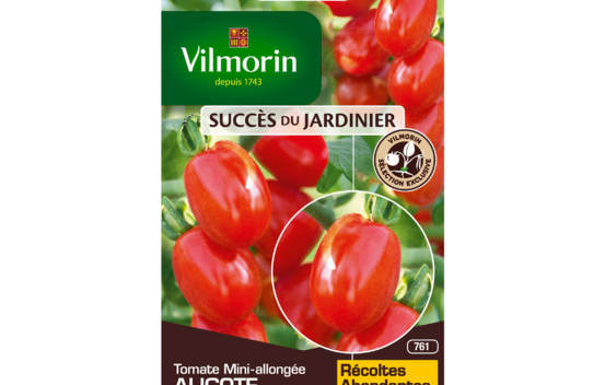 Tomate Aligote HF1 (Création Vilmorin) (Succès du Jardinier)