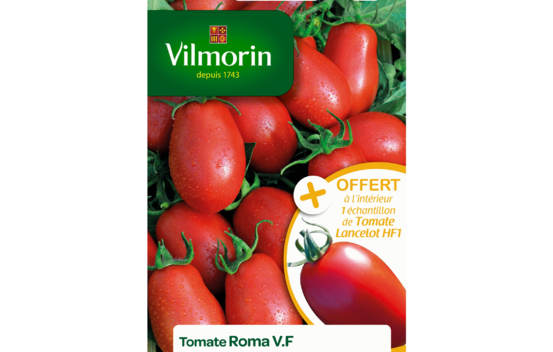 Tomate Roma V.F + échantillon Lancelot HF1
