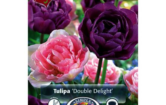 Tulipe Double Delight (M&eacute;lange Perfect Partners) (Zone : 3) (Paquet de 8 bulbes)