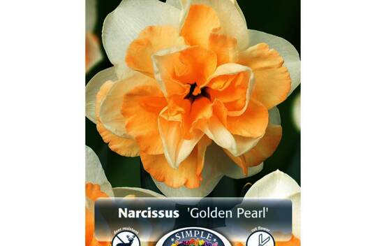 Narcisse Golden Pearl (Double) (Paquet de 5 bulbes)
