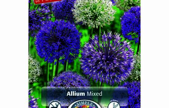Allium Mixed (Special Value Pack) (Paquet de 8 bulbes)
