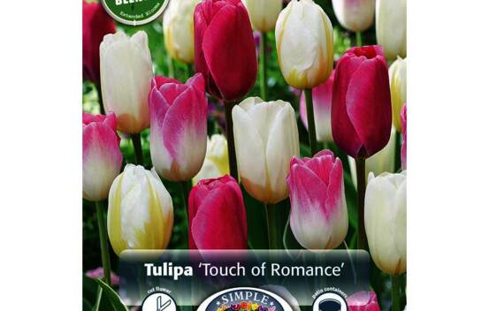 Tulipe Touch of Romance (P&eacute;riode de floraison &eacute;tendue - Inspiration Blend) (Paquet de 12 bulbes)