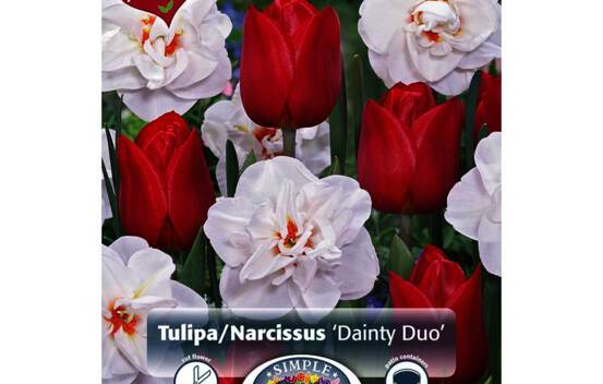 Tulipe et Narcisse Dainty Duo (M&eacute;lange Perfect Partners) (Paquet de 16 bulbes)