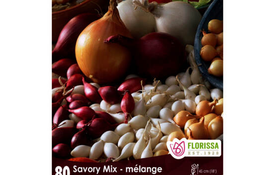 Oignon en m&eacute;lange (Rouge-Blanc-Jaune) (Paquet de 80)