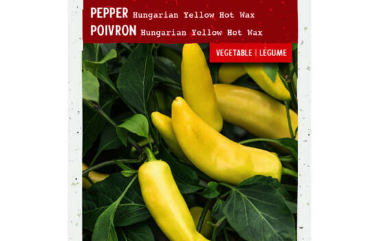 Piment Hungarian Yellow Hot Wax (Semences enrob&eacute;es Sow Easy)