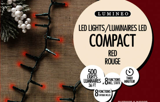 Lumi&egrave;res Ext&eacute;rieures DEL Riz clignotantes 500 lumi&egrave;res 36' Rouge avec fil vert