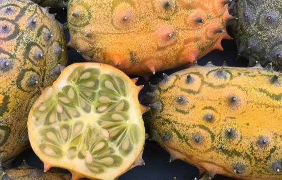 Melon Kiwano Biologique (Semences)