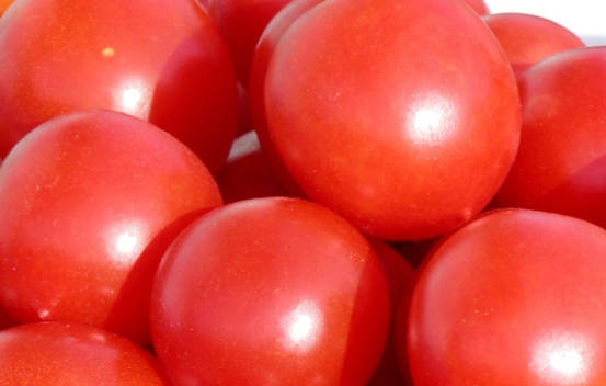 Tomate Principe Borghese Biologique (Tomate Italienne)