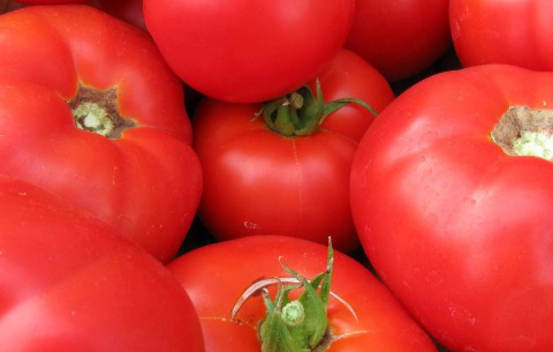 Tomate Beefsteak Biologique