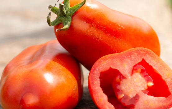 Tomate italienne San Marzano Biologique (Semences)