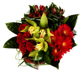 Bouquet Cosmopolitan