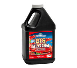 Big Bloom 0-0.5-5.5 1 qt. (1 L)