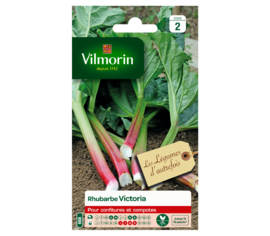 Rhubarbe Victoria (Légumes d'autrefois)