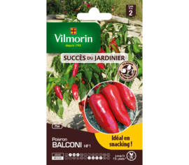 Poivron Balconi HF1 (Succès du Jardinier)