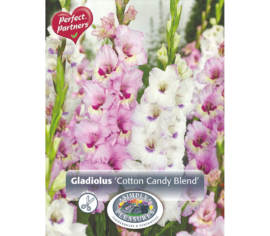 Glaïeul Cotton Candy Blend (Mélange Perfect Partners) (Paquet de 15 bulbes)